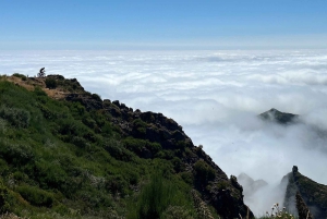 Pico Arieiro, Santana, São Lourenço y más: día completo + servicio de recogida.