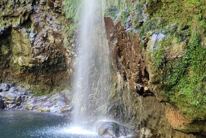 Pico Arieiro, Santana, São Lourenço y más: día completo + servicio de recogida.
