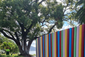 Pico Arieiro, Santana, São Lourenço y más: día completo + servicio de recogida.