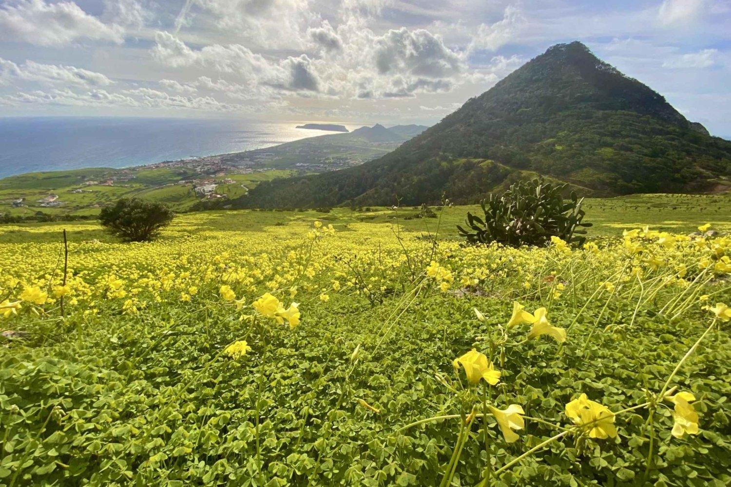 Pico Castelo & Pico Facho Vereda: Tur med spektakulær udsigt