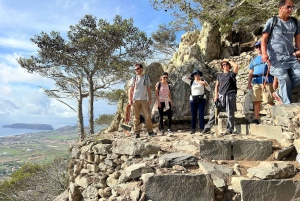 Pico Castelo & Pico Facho Vereda: Tur med spektakulær udsigt