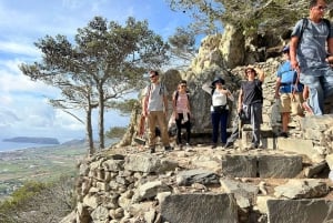 Pico Castelo & Pico Facho Vereda: Tur med spektakulær udsigt