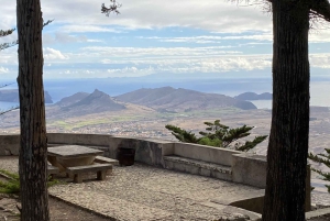 Pico Castelo & Pico Facho Vereda: Tur med spektakulær udsigt