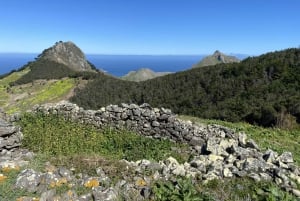 Pico Castelo & Pico Facho Vereda: Tur med spektakulær udsigt