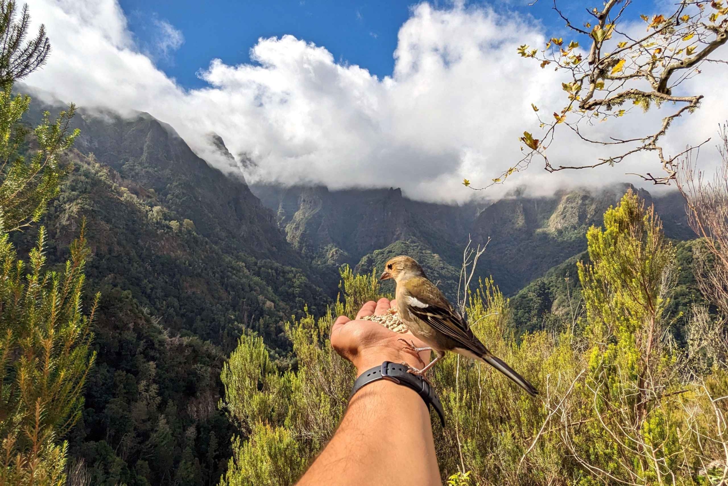 Pico do Arieiro in 4h: Immersive Private Jeep Experience