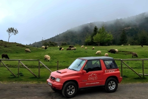 Pico do Arieiro in 4h: Immersive Private Jeep Experience