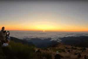 Madeira: Nascer do sol no Pico do Arieiro + 2 caminhadas - PR1 e PR3
