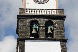 Ponta Delgada: stadstour en bezoek aan ananasplantage