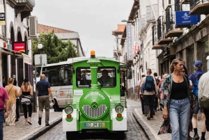 Ponta Delgada: stadstour en bezoek aan ananasplantage