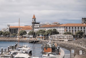 Ponta Delgada: tour de la ciudad y visita a una plantación de piñas