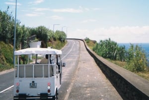 Ponta Delgada: stadsrondleiding met elektrische tuktuk