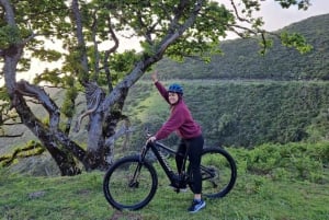 Ponta do Pargo: Madeira E-Bike Rental