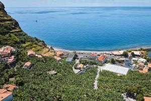 Ponta Do Sol : Führung durch das Bananenmuseum von Madeira