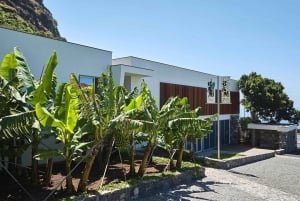 Ponta Do Sol : Führung durch das Bananenmuseum von Madeira