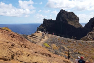 Ponta São Lourenço: ガイド付きプライベート ウォーク PR8