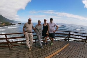 Porto Moniz Natural Pools and Waterfalls Private Tour