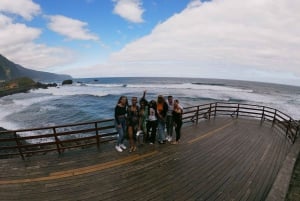 Porto Moniz Natural Pools and Waterfalls Private Tour