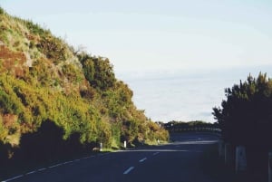 Madeira: Porto Moniz: Excursão Oeste Selvagem: Em viatura 4*4: Duração 7,5h