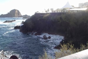 Madeira: Porto Moniz: Excursão Oeste Selvagem: Em viatura 4*4: Duração 7,5h