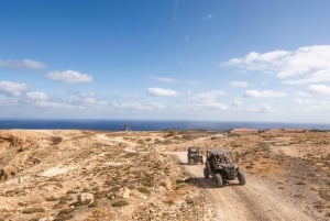 Porto Santo: 180 Minutes Off-Road Buggy Tour