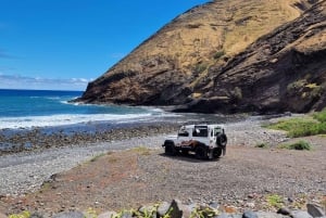 Porto Santo: Island Highlights 4x4 Tour with Hotel Transfers