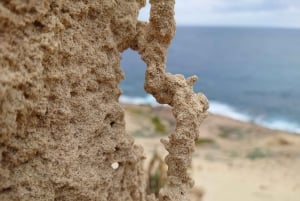 Porto Santo: Island Highlights 4x4 Tour with Hotel Transfers