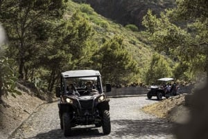 Porto Santo: 90 Minutes Off-Road Buggy Tour