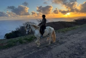 Île de Porto Santo : équitation
