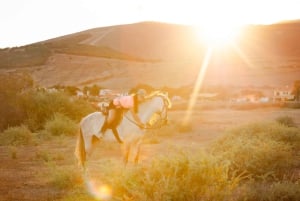 Île de Porto Santo : équitation