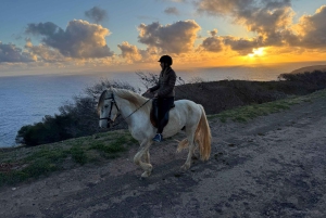 Porto Santo: paardrijden