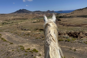 Porto Santo: paardrijden