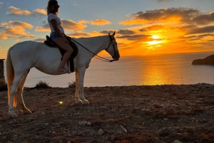 Porto Santo: paardrijden