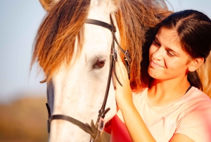 Porto Santo: paardrijden