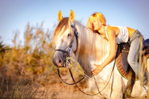 Porto Santo: paardrijden