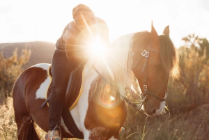 Porto Santo: paardrijden