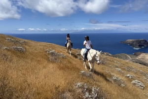 Porto Santo: paardrijden