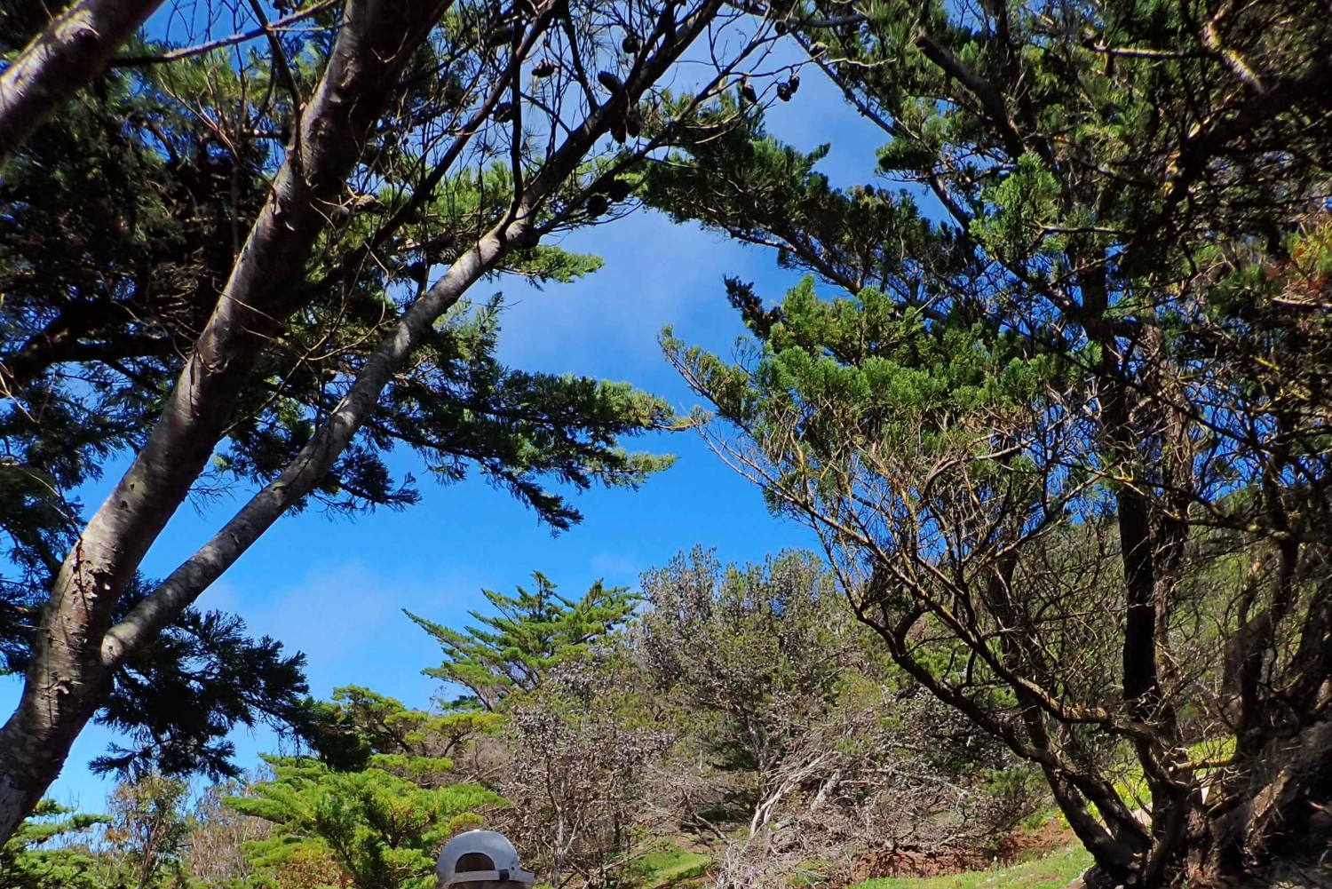 Wyspa Porto Santo: szlak panoramiczny Pico do Facho