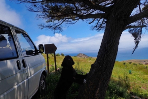 Wyspa Porto Santo: szlak panoramiczny Pico do Facho