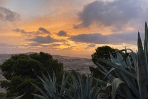 Porto Santo, Photographic whole island tour