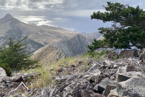 Porto Santo: Caminhada guiada pela montanha do Pico Branco e Terra Chã