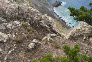 Porto Santo: Guidad bergvandring på Pico Branco och Terra Cha