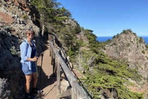 Porto Santo: Guidad bergvandring på Pico Branco och Terra Cha