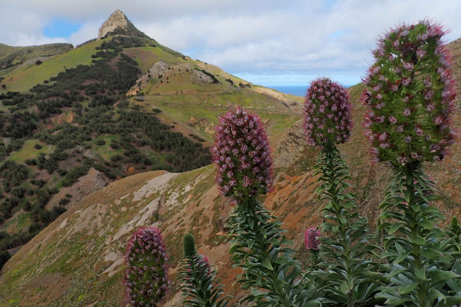 Porto Santo: Terra Chã og Pico Branco vandretur