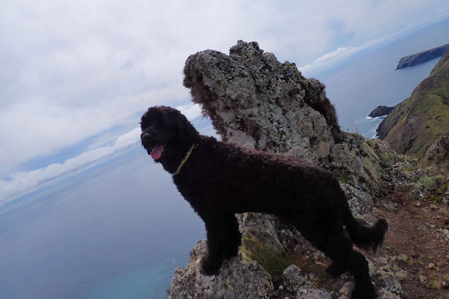 Porto Santo: Terra Chã ja Pico Branco -vaellusretki