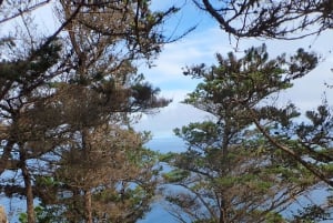 Porto Santo: Terra Chã og Pico Branco Vandretur