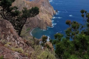 Porto Santo: Terra Chã og Pico Branco Vandretur