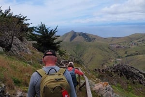 Porto Santo: Terra Chã og Pico Branco Vandretur