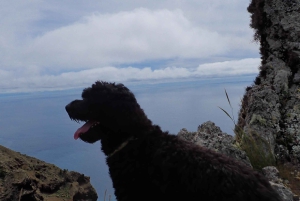 Porto Santo: Terra Chã ja Pico Branco -vaellusretki