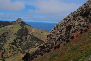 Porto Santo: Terra Chã ja Pico Branco -vaellusretki