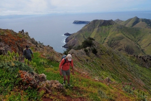 Porto Santo: Terra Chã ja Pico Branco -vaellusretki